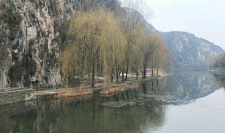 三月下雪有什么说法