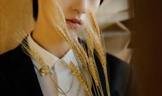 时代少年团演唱会