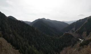 我笑青山多妩媚 我笑青山多妩媚