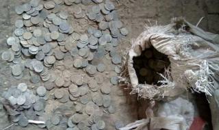 木字加一笔有24个字