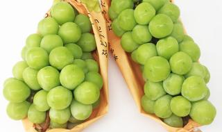 阳光玫瑰葡萄降价