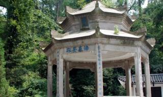 青山处处埋忠骨课文 青山处处埋忠骨课文