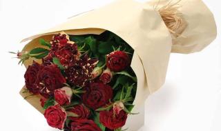 深圳燃气网上订气