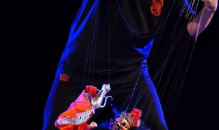 提线木偶女主角 提线木偶女主角