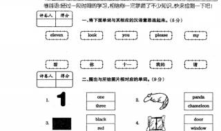 三年级上册期中试卷 三年级上册期中试卷