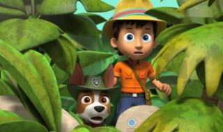 汪汪队立大功第1季