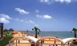 上海上海都市菜园