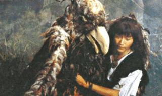 神雕之纵横江湖