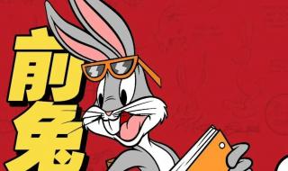 兔八哥东北方言版 兔八哥东北方言版