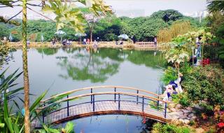 深圳青青世界一日游