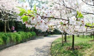 重庆南山植物园