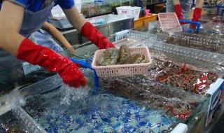 三亚吃海鲜的地方 三亚吃海鲜的地方