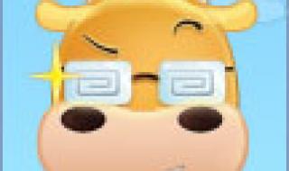 2012年欧洲杯决赛首发 2012年欧洲杯决赛首发