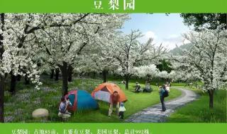 2023全运会在哪里举行