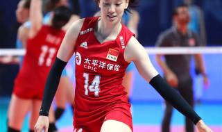 女排身高一览表2023